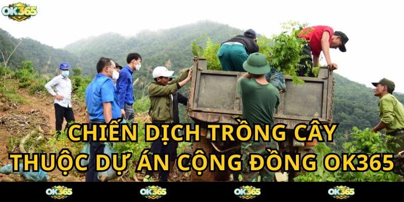 Chiến dịch trồng cây - Hoạt động cộng đồng của OK365 COM góp phần bảo vệ môi trường